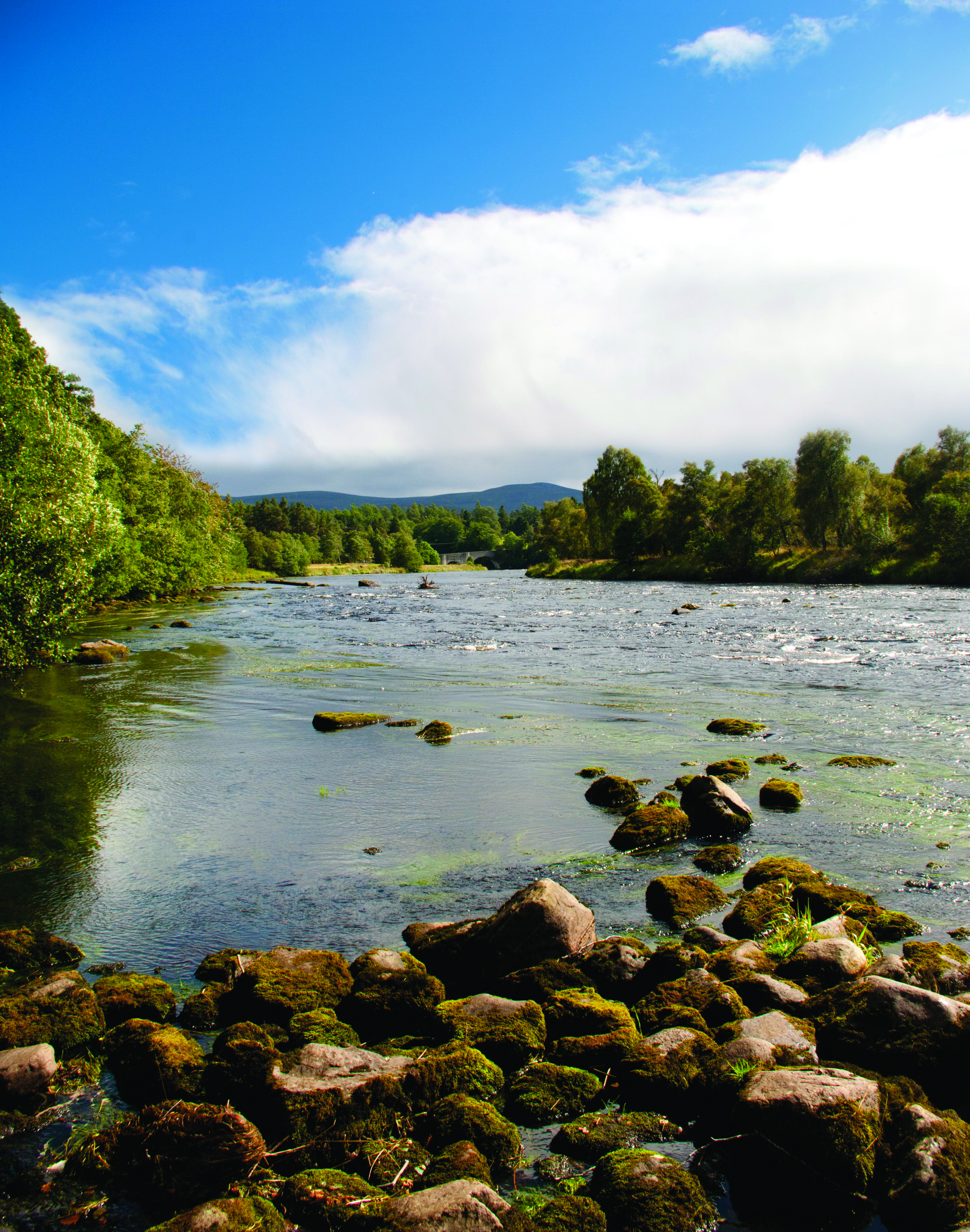 Grantown-on-Spey Craiglynne Hotel מראה חיצוני תמונה